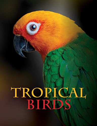 Tropical Birds (Animals in Photographs)