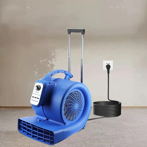 carpet dryers