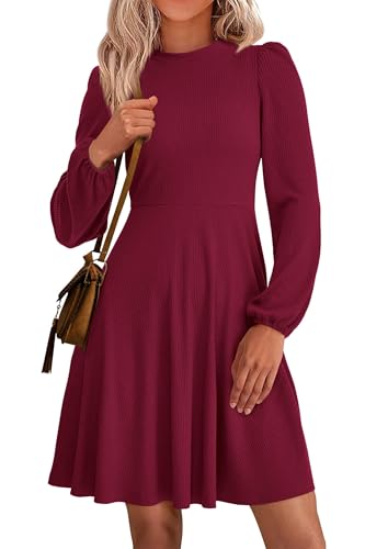 Image of PRETTYGARDEN Womens Long Sleeve Mini Dress 2026 Fall Trendy Crewneck Ribbed Knit Soft A Line Flowy Summer Formal Dresses