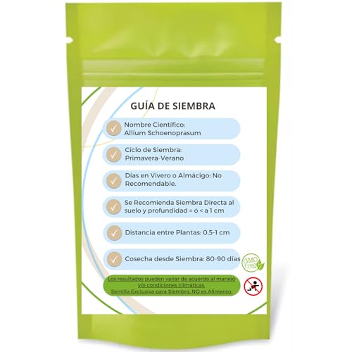 Encuentra reviews de Semillas gladiolo que Puedes comprar On-line. 17 Imagen adicional