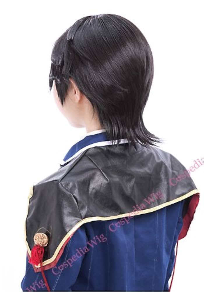 Amazon.co.jp: 刀剣乱舞 堀川国広 風 ウィッグ キャラウィッグ