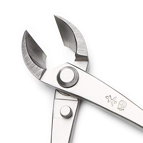 Tianbonsai ZY-GHM-0902-2-115 Branch Cutter Tian Bonsai Tools 165 Mm (6.5") Straight Edge Stainless Steel Master Quality Bonsai Tools thumb #4