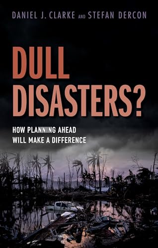 Dull Disasters? view 2