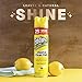 Endust Multi-Surface Dusting and Cleaning Spray, Lemon Zest, 12.5 Ounce (Pack of 2)