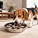Stainless Dog Bowl with Slow Feeder, Anti-Choke, Non-Skid, 9 Protrusions