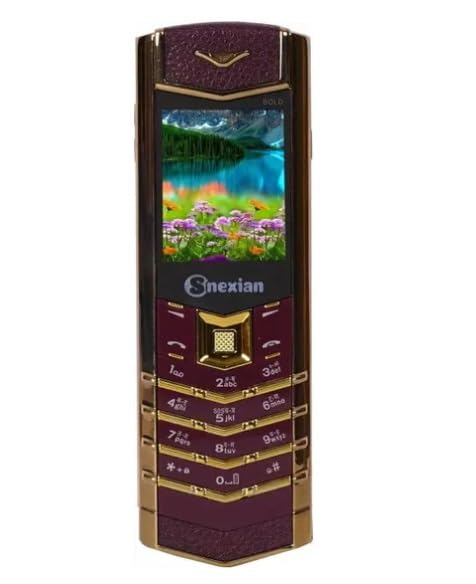 SHIVANSH Snexian Bold V1 Dual Sim Mobile Phone Color Coffee (B0CYQ4Q7ZC) Amazon Price History, Amazon Price Tracker