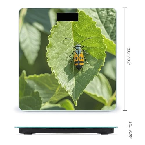Báscula digital de baño con diseño insectos en hojas miniatura 2