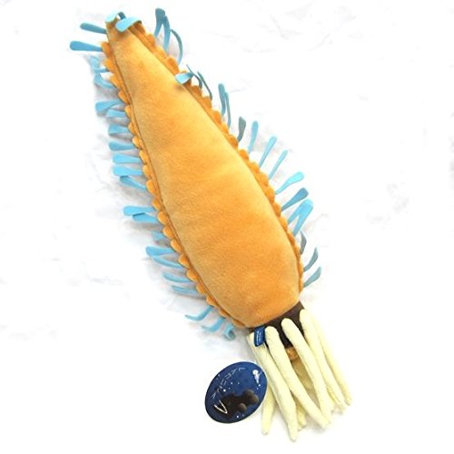 魚 ぬいぐるみの人気商品 通販 価格比較 価格 Com