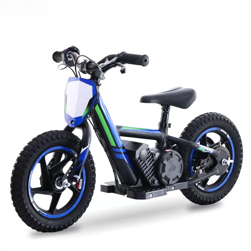 OLALA 24V 170W Electric Dirt Bike
