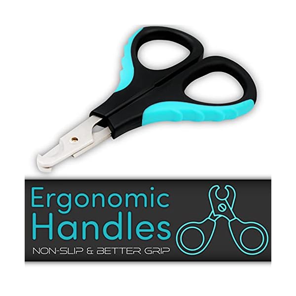 HH-Pets-Nail-Clippers-Series-for-Cats-and-Dogs-Razor-Sharp-Blades-Sturdy-Non-Slip-Handles-Dog-Accessories-Professional-at-Home-Grooming-Stainless-Steel-Dog-Nail-Trimmers-XS-Cats-Birds Keep Your Furry Friends Looking Purr-fect with H&H Pets Nail Clippers