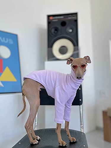 D DOGGY STAR C^O 10J[TVc tďH~ ^ ^ ^ xhgeA EBybg  ybg (XL, x_[)