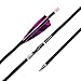 PG1ARCHERY 31-Inch Carbon Arrows Target Practice Hunting Arrow with 4