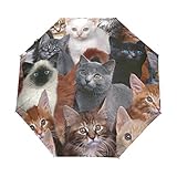 AJINGA Kittens Black Cat Folding Umbrella Sun Block Windproof Rain Automatic Open Close Travel Anti-