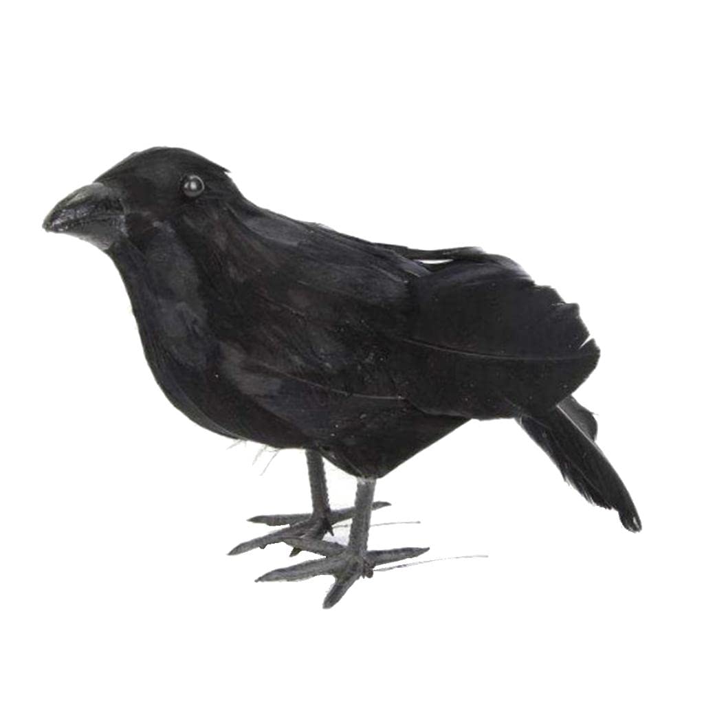 CLUB BOLLYWOOD®Vivid Crow Prop Bird Statue Realistic Black ed Crows Decor|Home & Garden | Yard, Garden & Outdoor Living |Home & Garden|1 X Artificial Crow Decor-image-38
