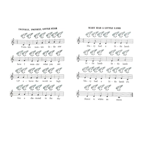 12-Hole Plastic Ocarina, Alto C, A4-F6 Range (PINK)