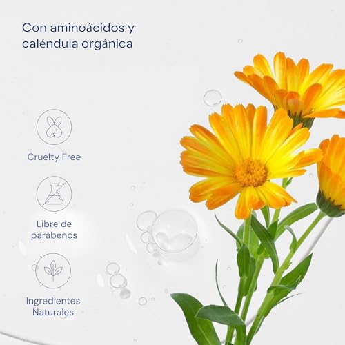 El Mejor Listado de Protect , listamos los 10 mejores. 25 Imagen adicional