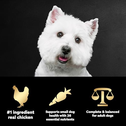 Image of Cesar Small Breed Dry Dog Food for Small Dogs,Rotisserie Chicken Flavor and Spring Vegetables Garnish,12 lb Bag,(Pack of 2)