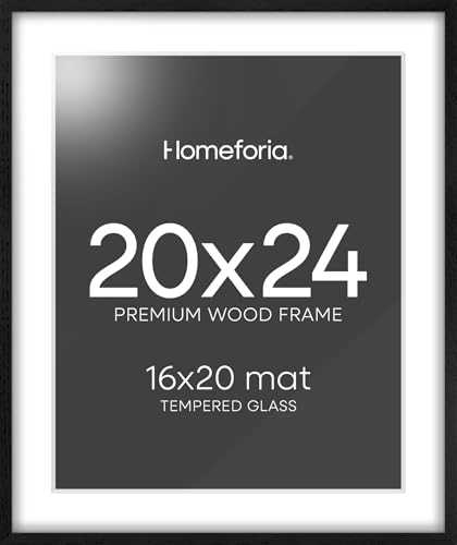 Homeforia 20x24 Black Wood Frame with Tempered Glass