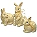 National Tree Set of 3 Assorted Woodcut Appearance Rabbits (RAE-EK150044)