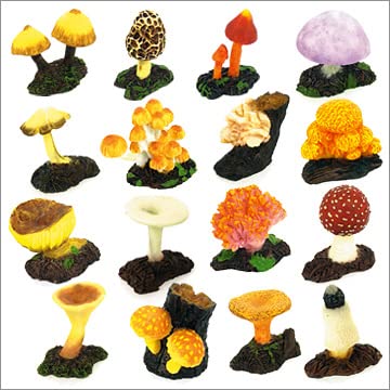 Amazon.co.jp: 誤食シリーズ タベタラキケン！！もっと毒キノコ パート