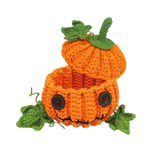 Kit de début de crochet pour apprendre à créer sa propre décoration maison