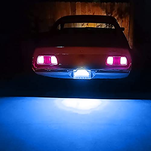 Universal LED License Plate Lights - Blue (6000K), Extremely Bright, for Car, Trailer, UTV, ATV, Truck, RV, Boat