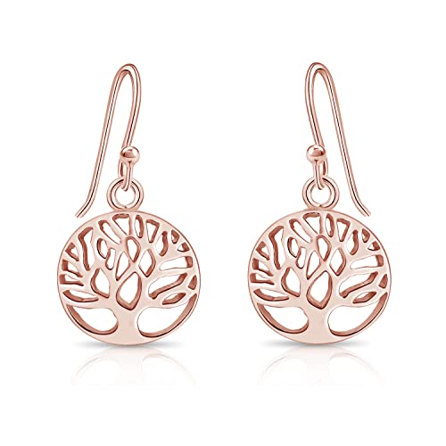 DTPsilver® KLEINE Haken Ohrringe 925 Sterling Silber und...