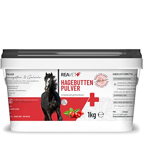 Vitamin C Pferd Die 15 besten Produkte im Vergleich Reiterguide