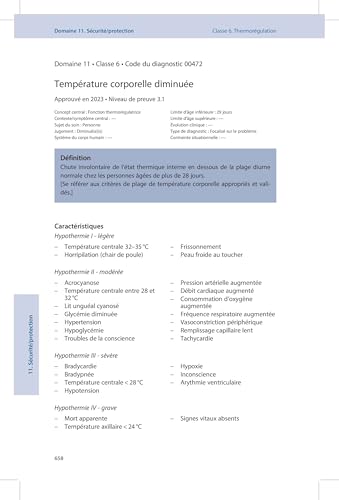 Diagnostics infirmiers 2024-2026: Définitions et classification – vue 5