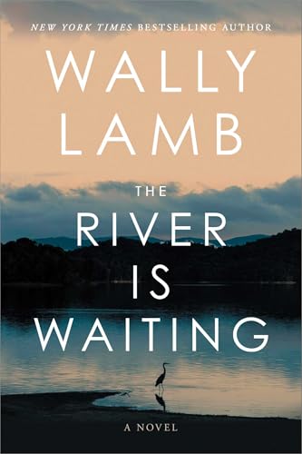 The River Is Waiting: A Novel