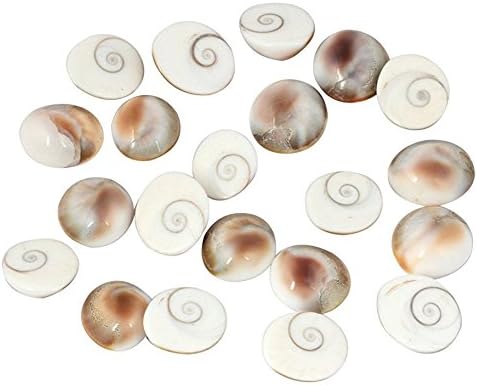 RUDRADIVINE Gomati Chakra (Off-White)