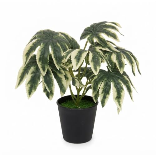 Image of Foliyaj Artificial Ivy Plant, Black Rimmed Pot