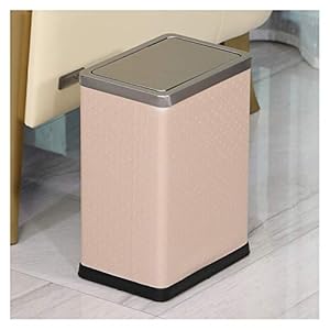 Raabyu YQE250 Beige Edelstahl Mülleimer