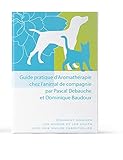 ¿Cómo cuidar a perros y gatos con aceites esenciales?