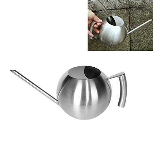 Cabilock Regador de aço inoxidável com bico longo para flores suculentas e água redonda para plantas