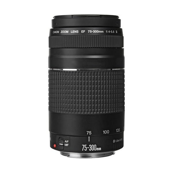 Ultimaxx Bundle with Canon EF 75-300mm f/4-5.6 III Lens, Filter Kit, Telephoto and Wide Angle Lens, Tulip Hood Lens + Much More (Black) [International Version] - Image 4