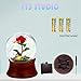 Rose Snow Globe Music Box, Preserved Red Rose Flower Musical Snow Globe LED Light Up Rose Snowglobe Water Globe Rose Gift for Women Girls, Romantic Gift for Mother's Day,Anniversary