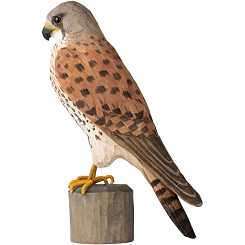Cernícalo de madera DecoBird, el regalo ideal para ornitólogos 2