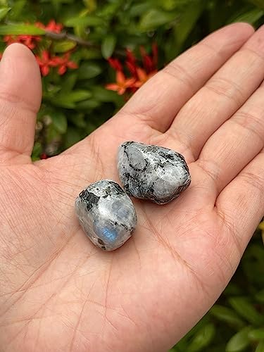 Image of GAF TREASURES 1 /2 LB Rainbow Moonstone Tumbled Stones, Polished Rainbow Moonstone Gemstone, Rainbow Moonstone Healing Crystals (Rainbow Moonstone)