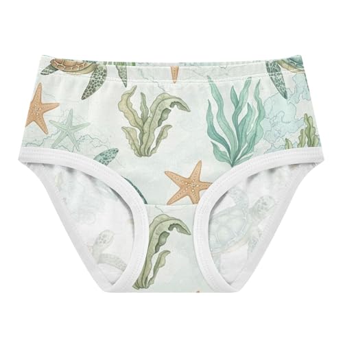 Girls Underwear Toddler 2t Cotton Panties Little Girl Fancy Briefs Girls Undies Classical Sea Turtles Starfishs