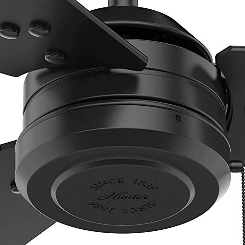 Hunter 50260 Cassius Outdoor Ceiling Fan With Pull Chain, 44", Matte Black Finish #TOP2