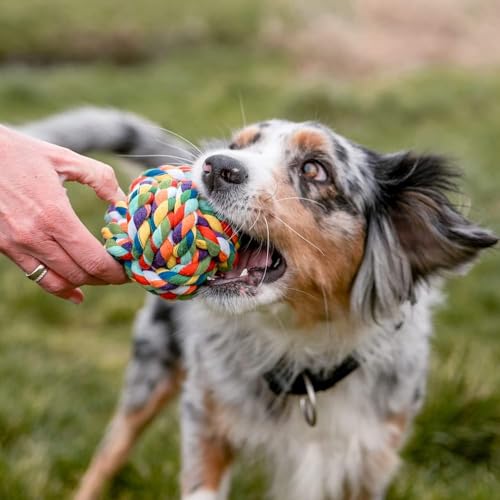 Image of Dog and Puppy Toy Set - Chew, Teething, Rope, and Tug Toys for Small to Medium Dogs - Washable Cotton Rope for Dogs (Rope Ball)