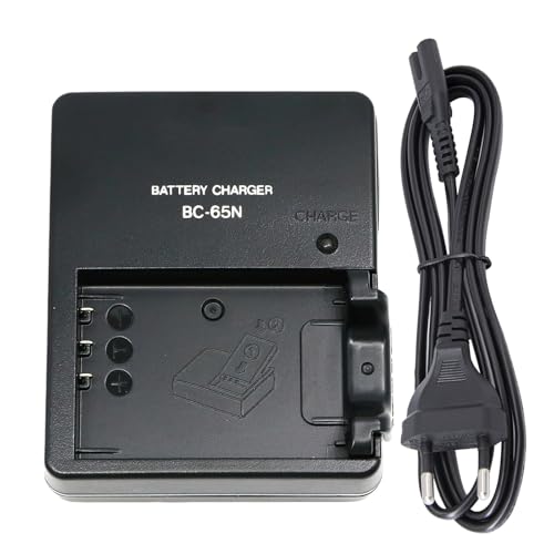 Chargeur batterie NP-95 voyage pour Fujifilm FinePix X100 X30 F31FD