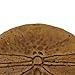 Solid Rock Stoneworks Round Dragonfly Stepping Stone- Autumn Wheat