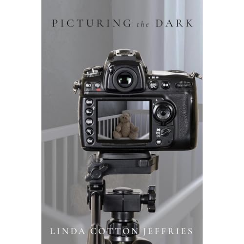 Picturing the Dark Audiolibro Por Linda Cotton Jeffries arte de portada