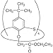TCI America: 4-tert-Butyl-1-(ethoxycarbonylmethoxy) thiacalix[4]arene, B2310-1G, 94.0% (HPLC)