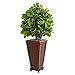 Nearly Natural 3-Ft. Ficus Artificial Decorative Planter Silk Trees Green
