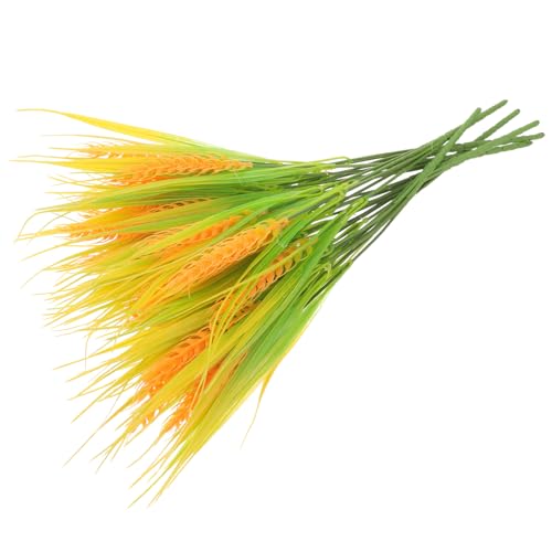 LIFKOME 6 V~[V vX`bNR CeAʐ^Bep QrOiAWg