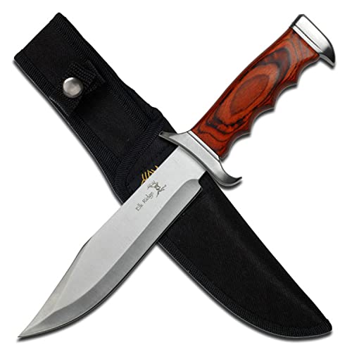 Elk Ridge - Outdoors Fixed Blade Knife - 12.5-in Overall, Satin Finish Stainless Steel Blade, Wood Handle, Includes Nylon Sheath - Hunting, Camping, Survival - ER-012