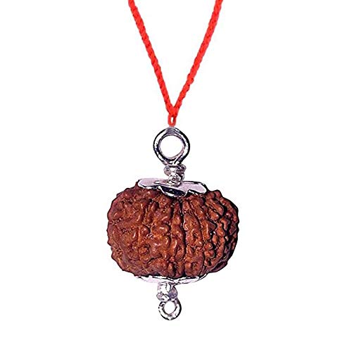 �F���� 20 Mukhi | 20 �t�F�C�X �l�p�[�� ���h�� �j�� ���h���N�V�� �V���o�[�y���_���g�t�� Lab Certified